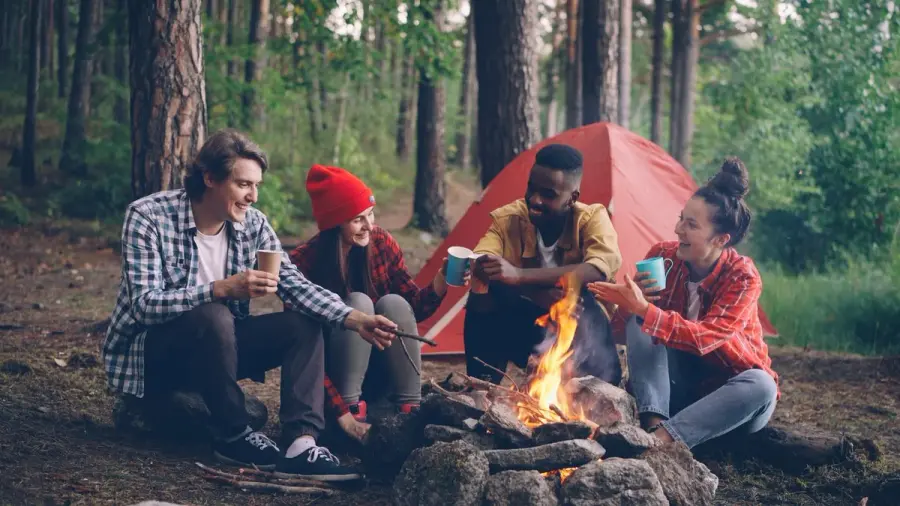Vier Freunde an einem Lagerfeuer im Wald